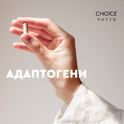 Адаптогени: шлях до адаптаціі в сучасних умовах